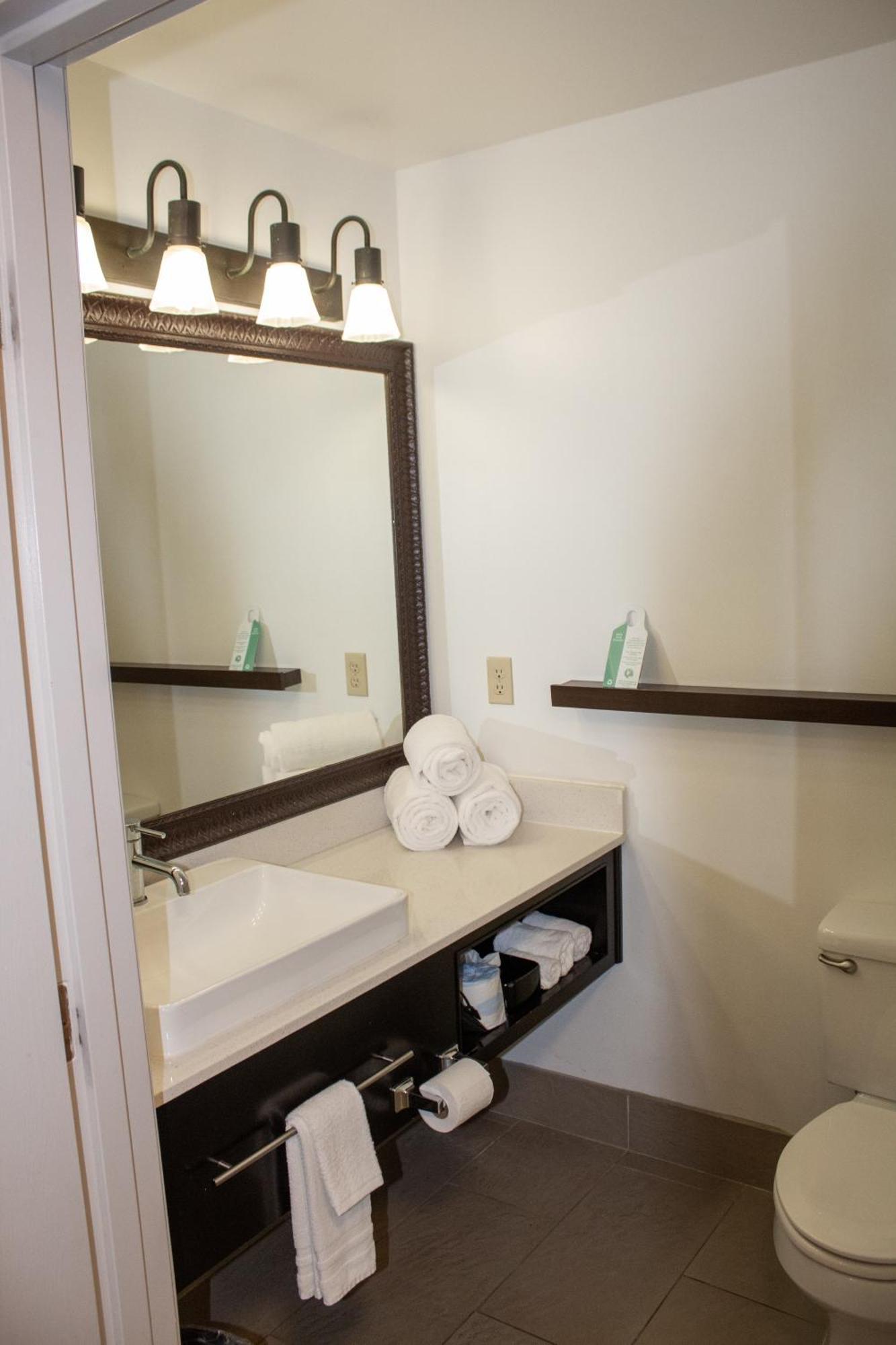 Country Inn & Suites By Radisson, Big Rapids, Mi Bagian luar foto